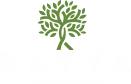 Rayya-Wellness
